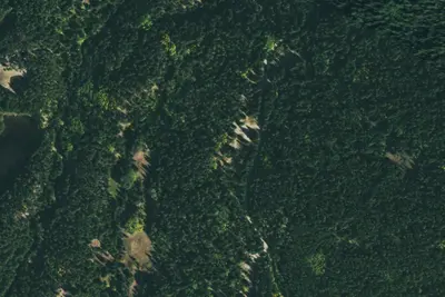 Camp site