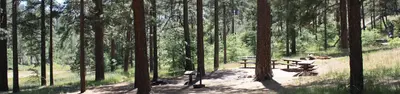 Horse Heaven Group