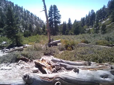 San Bernardino County, CA, USA - panoramio (13)