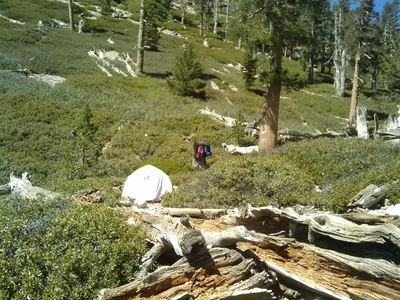 San Bernardino County, CA, USA - panoramio (15)