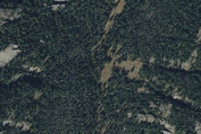 Specimen Creek