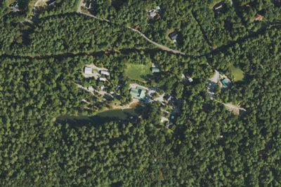 Camp Tekoa