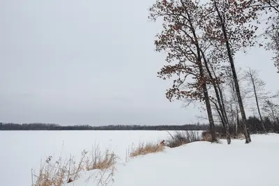 Rock Lake - Saint Croix State Forest, Minnesota (38738204694)