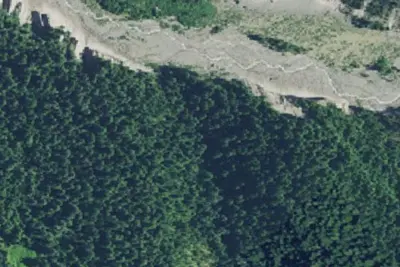 Camp site