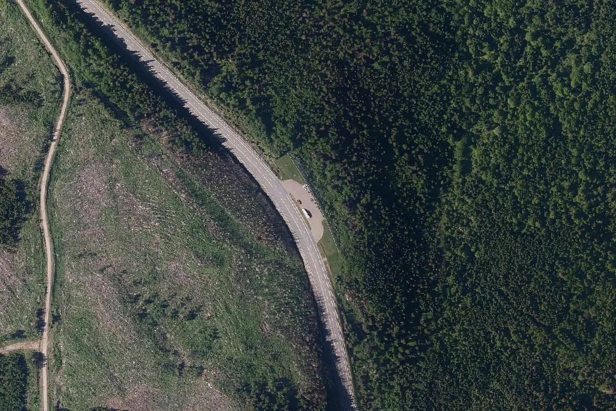 Aerial view