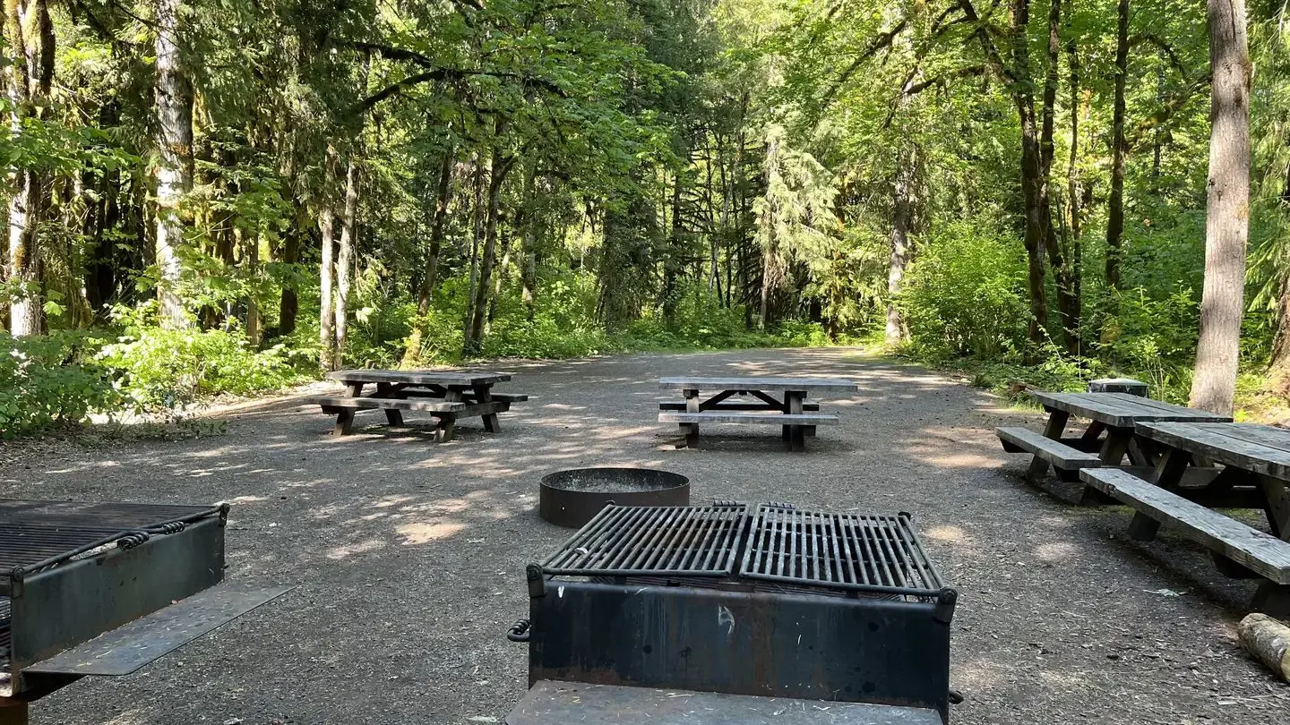 Picnic tables and grills