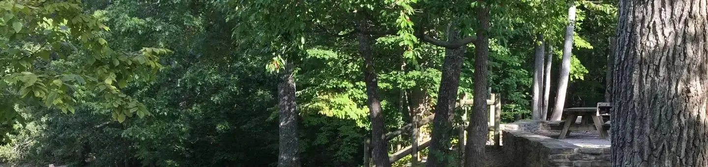Chilhowee Campground