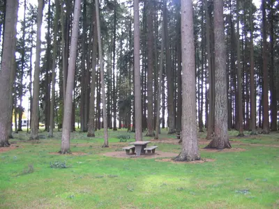Baldock Rest Area Picnic Table