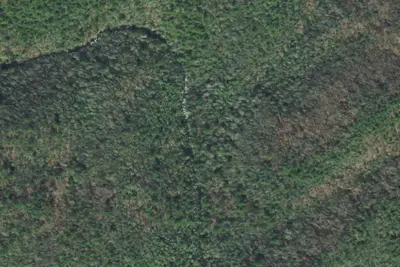 Camp site
