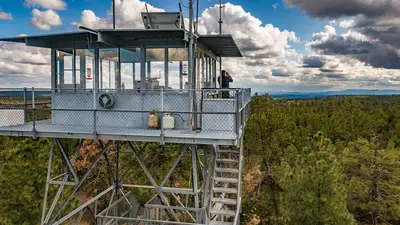 Apache-Sitgreaves NF Wild Horse Management Begins (20190930-FS-LSC-0548)