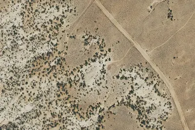 Camp site