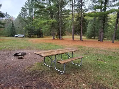 Leg Lake Campsite 1 picnic table and fire ring