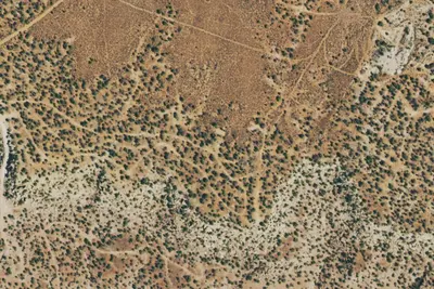 Camp site