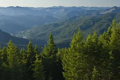 Lake of the Woods Lookout
