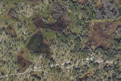 Camp site