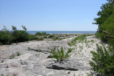 Rock Point - Lookout Campground