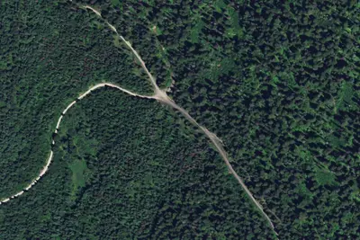 Cw284rd-006