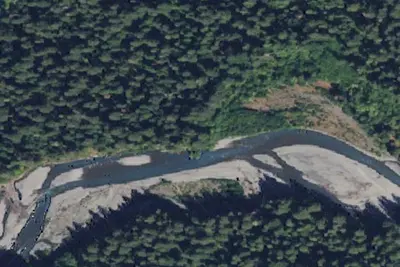 Hoh River Dispersed Camping