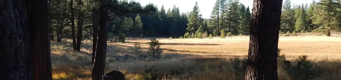 Boca Spring Campground