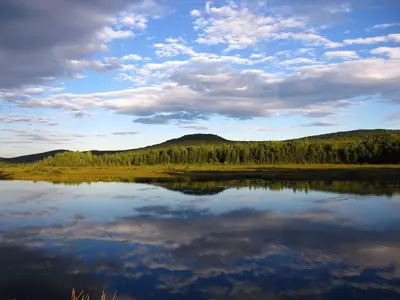 Stratton Brook Pond (6306834210)