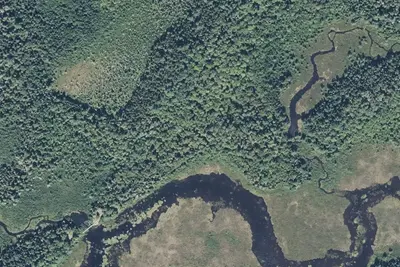 Stratton Brook Pond