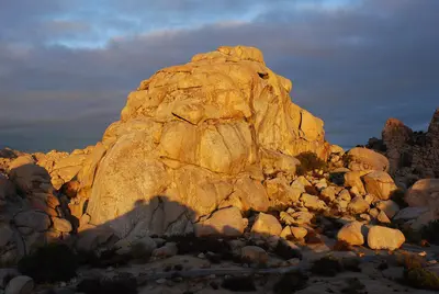 Joshua Tree - The Blob Formation 2