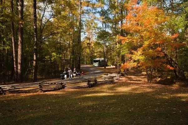 Jeff Busby Campground in Fall