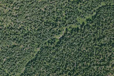 Camp site