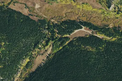 US forest Serivce Site #9