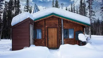 Coldfoot Cabin