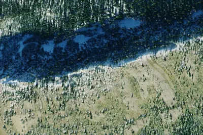 Tr77 Site 3