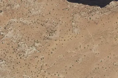 Designated Campsite