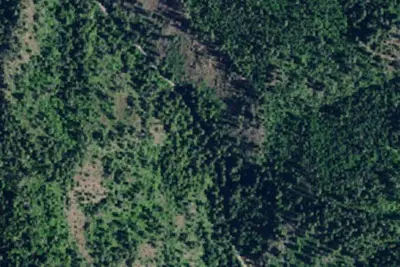 Rd 438 Site 1