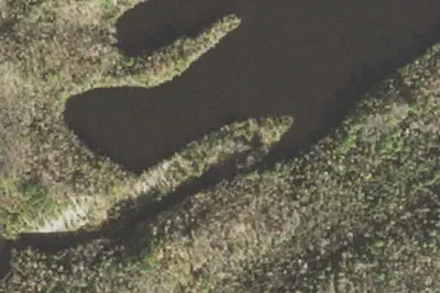 Low Lake Site 4