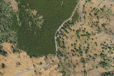 Saddle Creek Campground