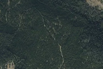 Bear Fork Road-005