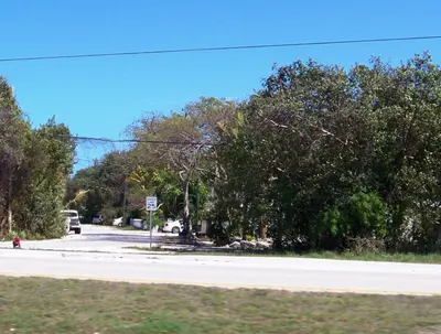Key Largo, FL 33037, USA - panoramio - Idawriter (8)