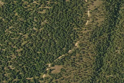 Forest Road 84 Camping Area