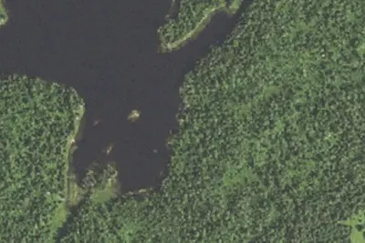 Camp site (Superior National Forest)
