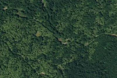 Camp site