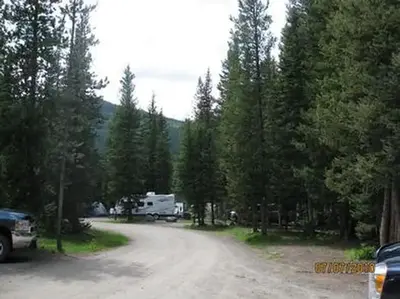 Road through Chisholm Campground, Pine trees, RV's & vehicles