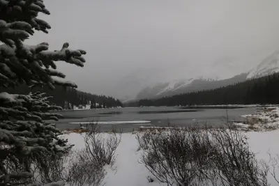 Edworthy Falls Hike Alberta Canada October 22nd 2017 (37866859321)