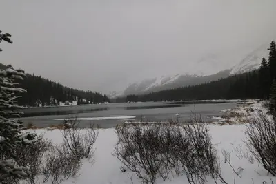 Edworthy Falls Hike Alberta Canada October 22nd 2017 (37609351470)