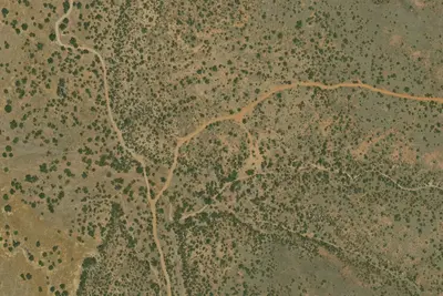 U.S. Fish and Wildlife Service Site 42