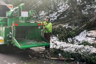 Chipper shredder ready to go (40345510593)