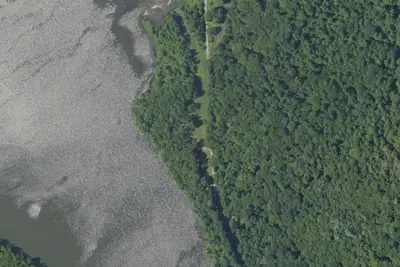 Camp site