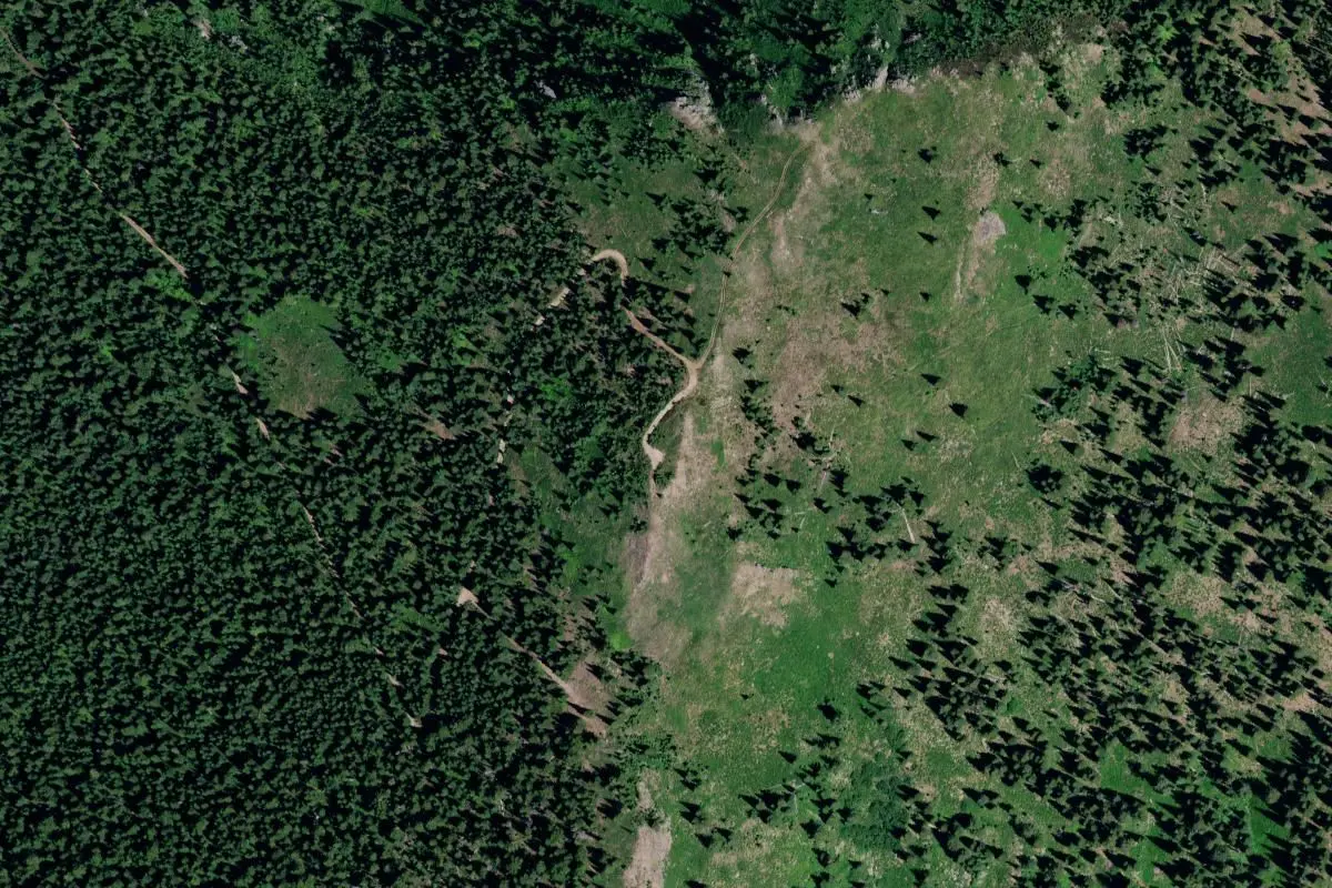 Aerial view