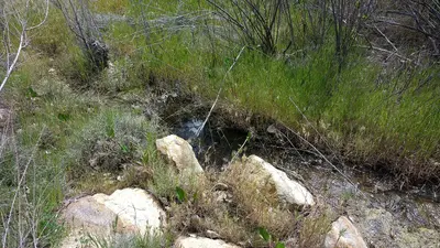 WRCS140B Nance Canyon (33472309620)