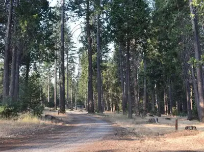 Upper loop road
