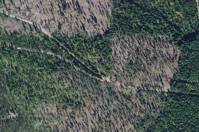Rd 9563-1 Beaver Creek Area